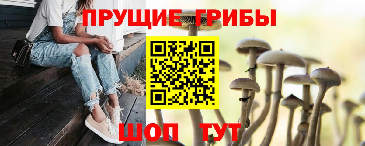 Когалым  Галлюциногенные грибы Psilocybe  Вход с VPN 